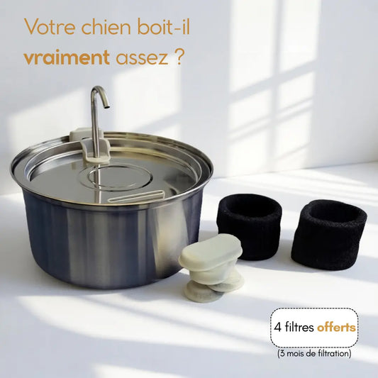 Furova Source - Fontaine à eau pour chien