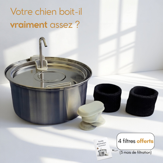 Kit sérénité Furova Source - Fontaine à eau filtrée pour chien