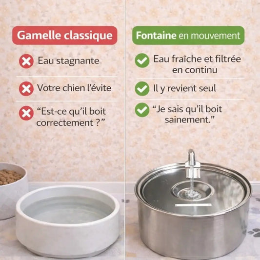 Kit sérénité Furova Source - Fontaine à eau filtrée pour chien